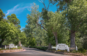 Hotel Homestead Resort