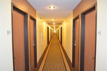 Hotel Quality Inn & Suites
