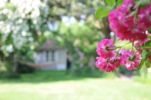 Apartamento G�cke's Haus Und Garten