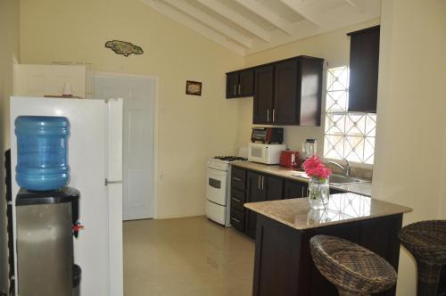 Drax Hall Villas At Ocho Rios