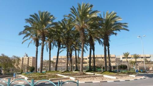 Apartamento Shimon Street Flat