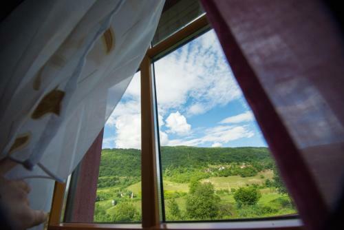 Bed And Breakfast Villa Dvor
