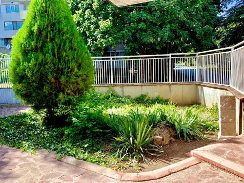 Hostal Jackie House Varna
