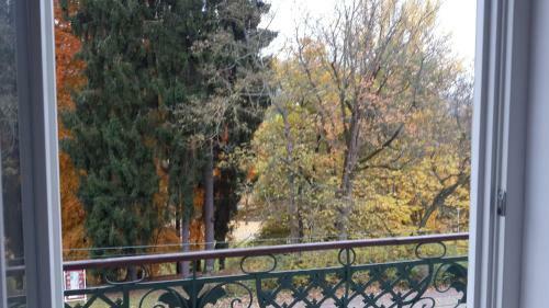 Apartment Butterfly Hlavni