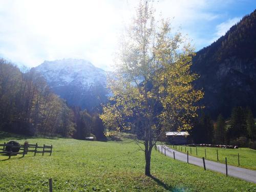 Apartamento Haus Seekopf