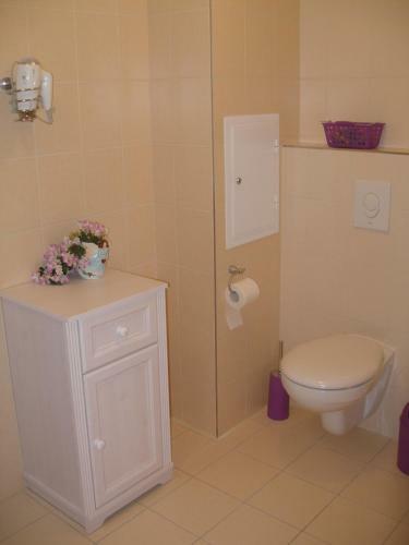 Apartamento Ubytov�n� U L�zn� Aurora