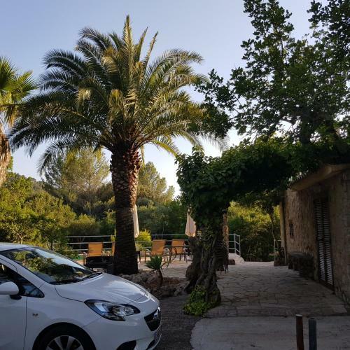 Agroturismo Fangar Vell