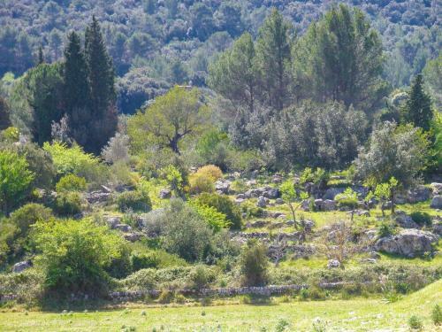 Agroturismo Fangar Vell