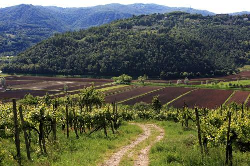 Agroturismo Fattoria Le Vegre