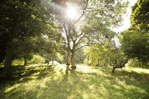 Rock Farm Slane - Glamping
