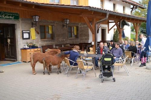 Agroturismo Kollerhof