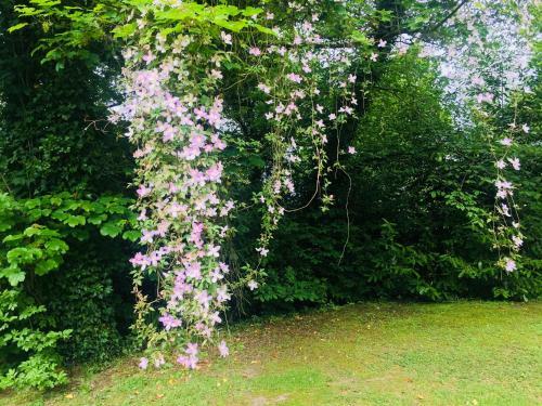 Bed & Breakfast Larchmount House
