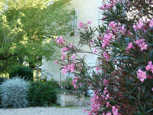 Bed & Breakfast L'escale De Bel Air
