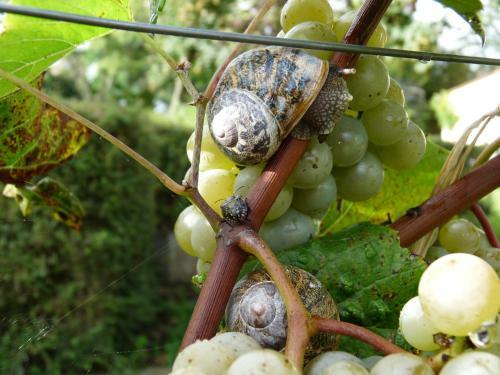 Bed & Breakfast L'escale De Bel Air