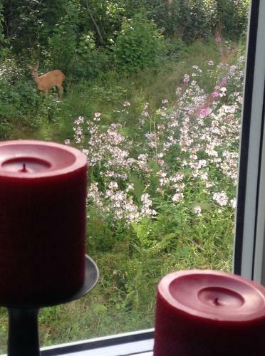 Bed & Breakfast Landvetter Bnb