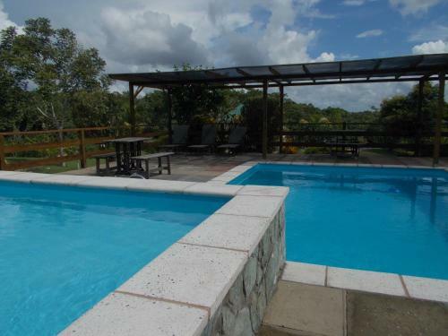 Hotel Gumbo Limbo Jungle Resort