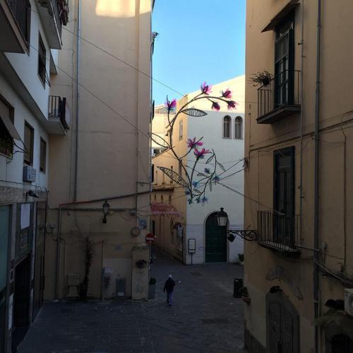 Mercanti Apartment