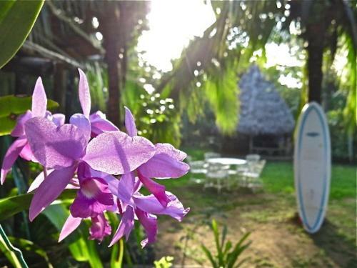 Hotel Guaria De Osa Ecolodge