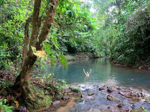Hotel Guaria De Osa Ecolodge