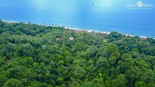 Hotel Guaria De Osa Ecolodge