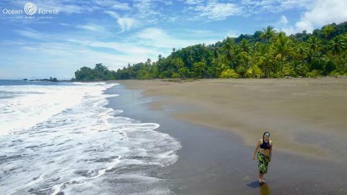Hotel Guaria De Osa Ecolodge