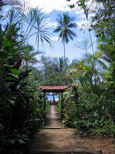 Hotel Guaria De Osa Ecolodge