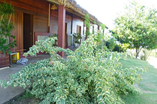 Hotel Nautile