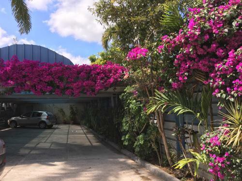 Hotel R�sidence H�teli�re Le Phoenix