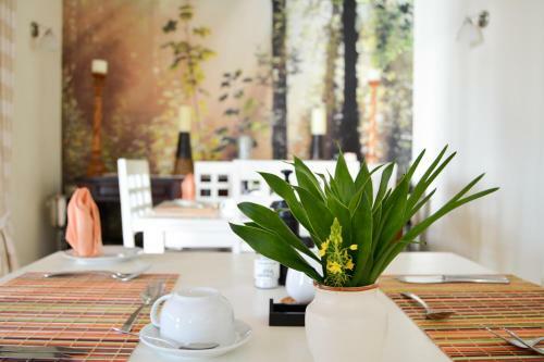 Hostal Sak 'n Pak Luxury Guest House