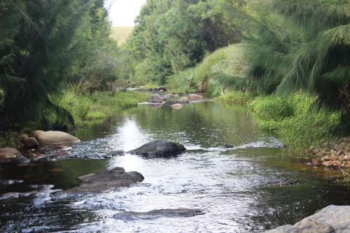 Bed & Breakfast Swelln2 Farm Lodge