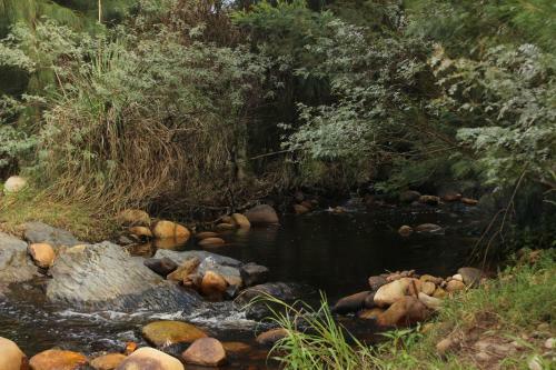 Bed & Breakfast Swelln2 Farm Lodge