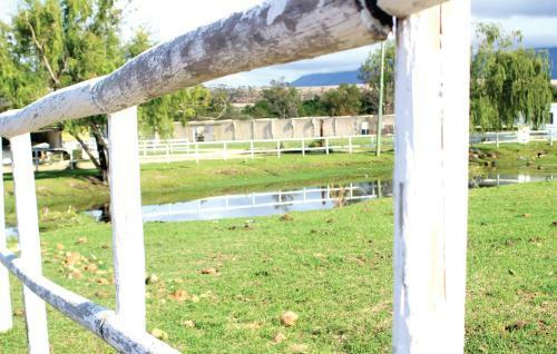 Bed & Breakfast Swelln2 Farm Lodge