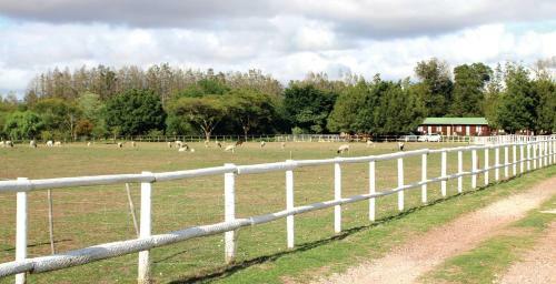 Bed & Breakfast Swelln2 Farm Lodge