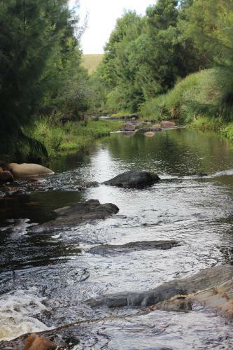 Bed & Breakfast Swelln2 Farm Lodge
