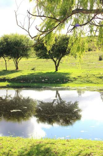 Bed & Breakfast Swelln2 Farm Lodge