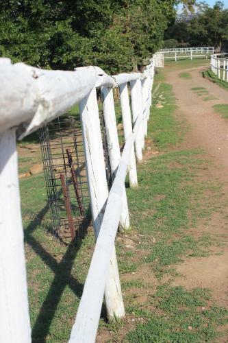 Bed & Breakfast Swelln2 Farm Lodge