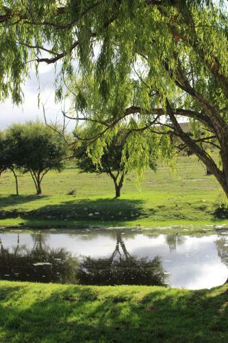 Bed & Breakfast Swelln2 Farm Lodge