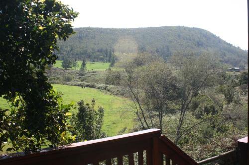 Bed & Breakfast Kurlandpark