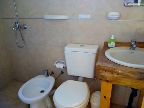 Hostel Andino
