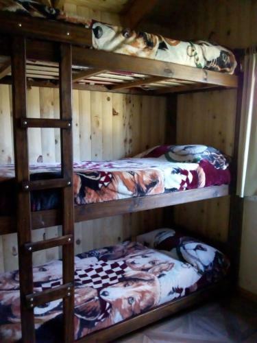 Hostel Andino