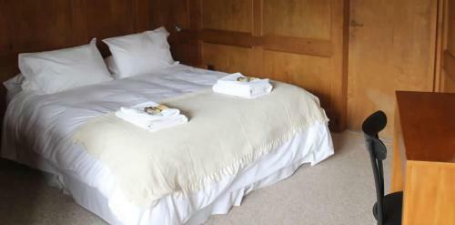 Lodge Caba�as Parque Tepuhueico