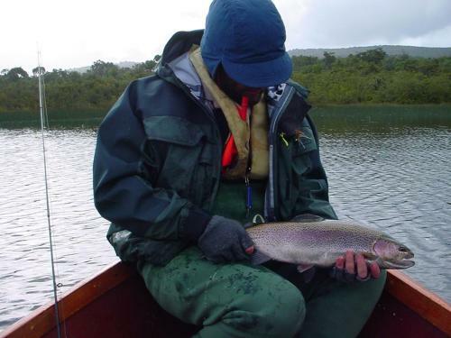 Lodge Caba�as Parque Tepuhueico