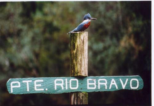 Lodge Caba�as Parque Tepuhueico