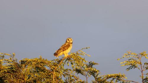 Lodge Caba�as Parque Tepuhueico