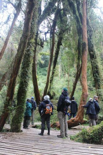 Lodge Caba�as Parque Tepuhueico