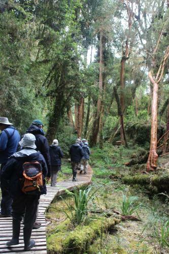 Lodge Caba�as Parque Tepuhueico