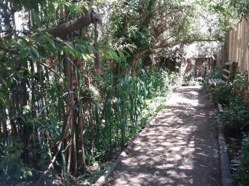Casa Isla Negra