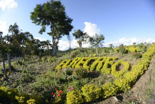 Hostal Finca El Recreo