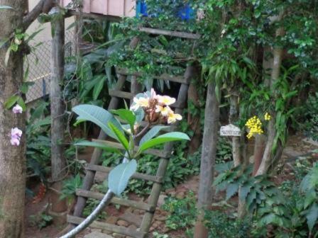 Homestay Mermaid Lounge