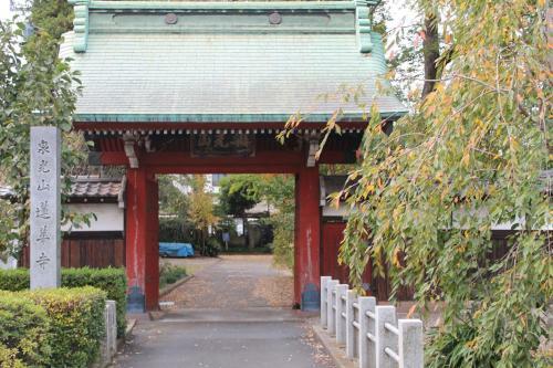 Albergue Grapehouse Koenji